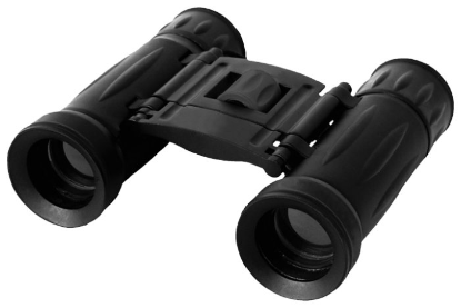 Изображение Бинокль Levenhuk Atom 8x21